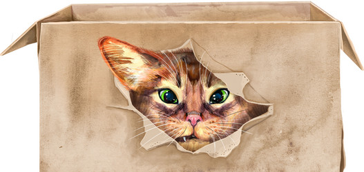 Similar image 21667412