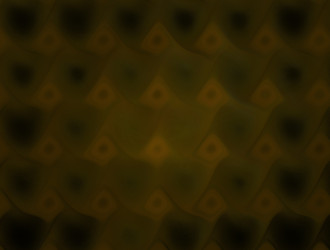 Similar image 21668005