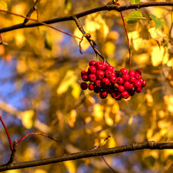 Similar image 21665642