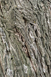 Similar image 21665643