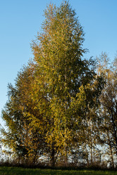 Similar image 21665644