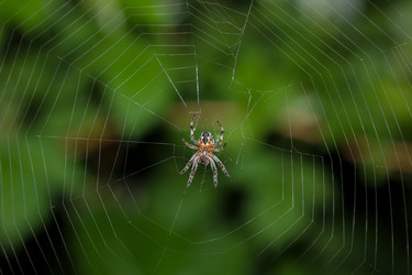 Similar image 21667483