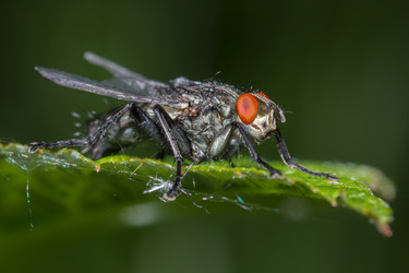 Similar image 21667484