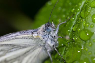 Similar image 21667485