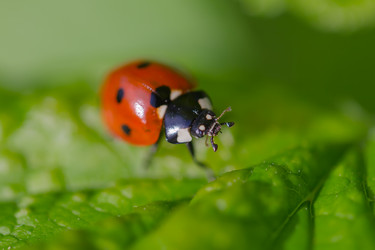 Similar image 21667440