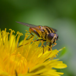 Similar image 21667441