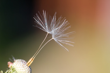 Similar image 21667442