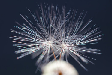 Similar image 21667443