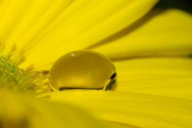 Similar image 21667445