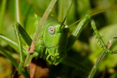 Similar image 21665648