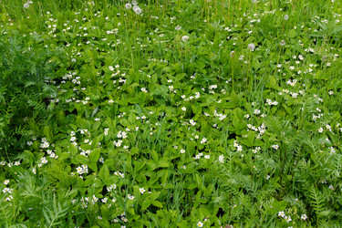 Similar image 21665651