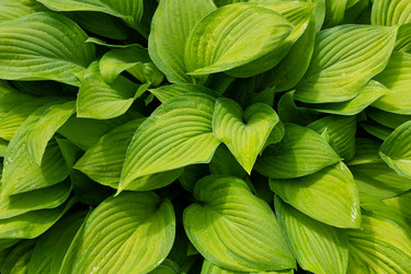 Similar image 21665652