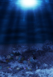 Similar image 21673677