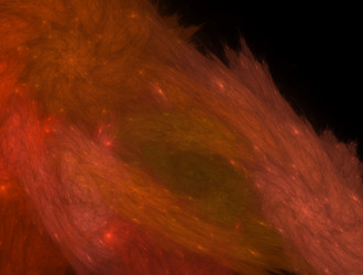 Similar image 21668269