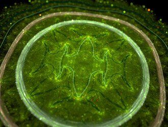 Similar image 21668027