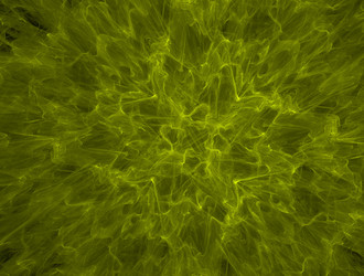 Similar image 21668306