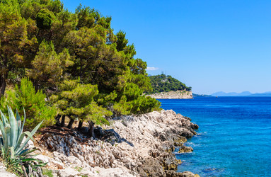 Similar image 21667684