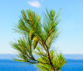 Similar image 21668039