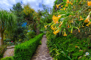 Similar image 21668062