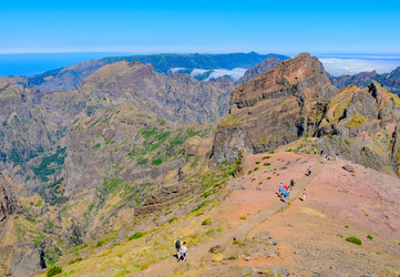 Similar image 21668101