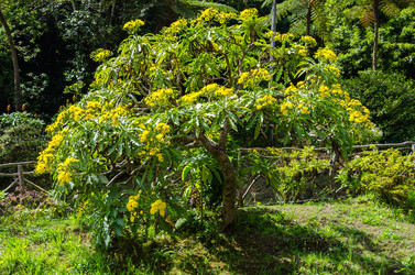 Similar image 21668111