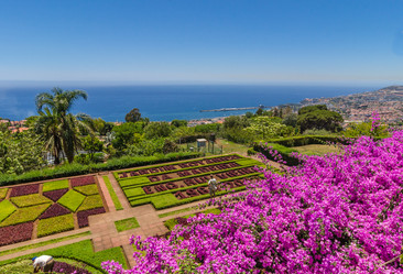 Similar image 21668154