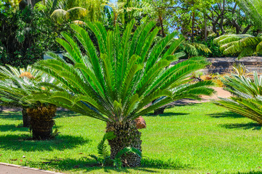 Similar image 21668165