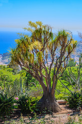 Similar image 21668173