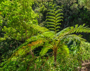 Similar image 21668177