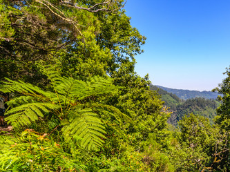 Similar image 21668178