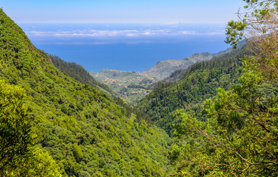 Similar image 21668179