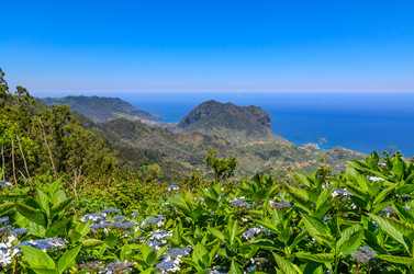 Similar image 21668181