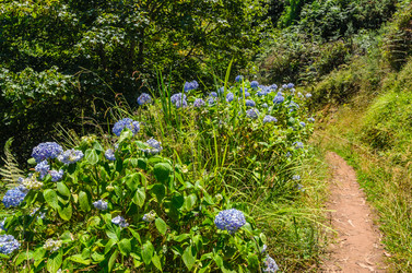 Similar image 21668185