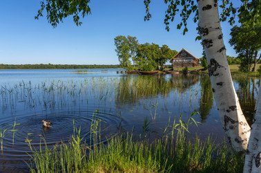 Similar image 21668532