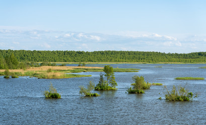 Similar image 21668612