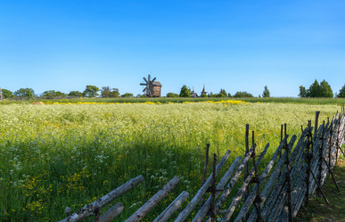 Similar image 21668565