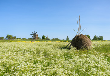 Similar image 21668566