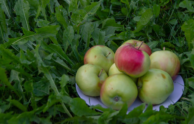 Similar image 21672484