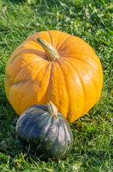 Similar image 21673074