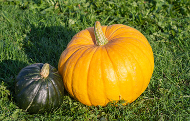 Similar image 21673075