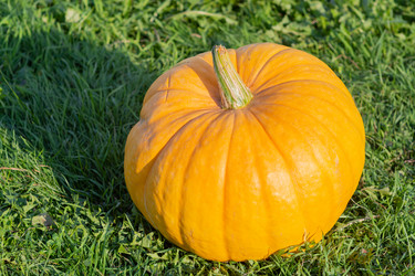 Similar image 21673076