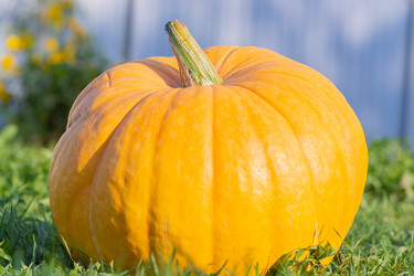 Similar image 21673078