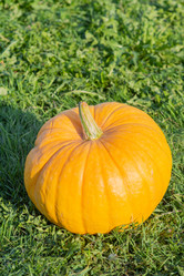 Similar image 21673079