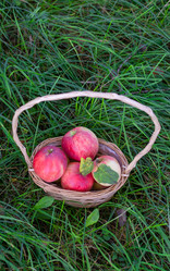 Similar image 21673081