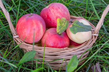 Similar image 21673704