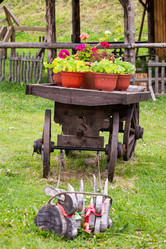 Similar image 21673706