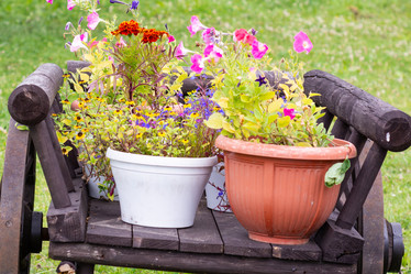 Similar image 21673709