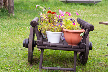 Similar image 21673710