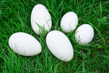 Similar image 21675410