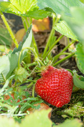 Similar image 21669761